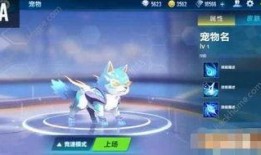 飞车最新宠物爆料,神秘宠物助力玩家畅游虚拟世界